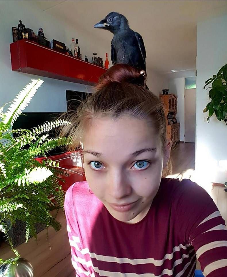 Gewoon een verzameling hilarische foto's #1252