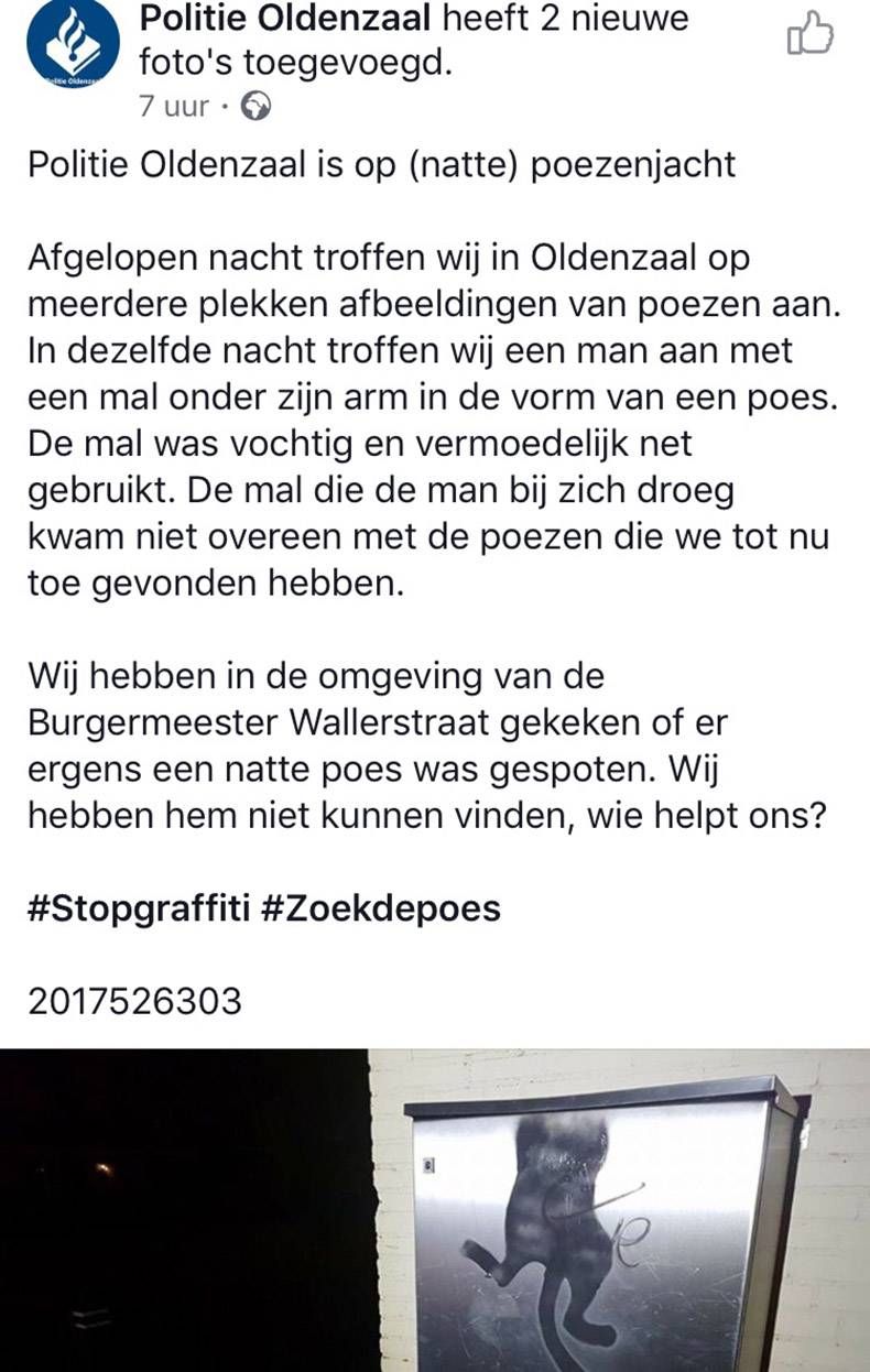 Gewoon een verzameling hilarische foto's #893