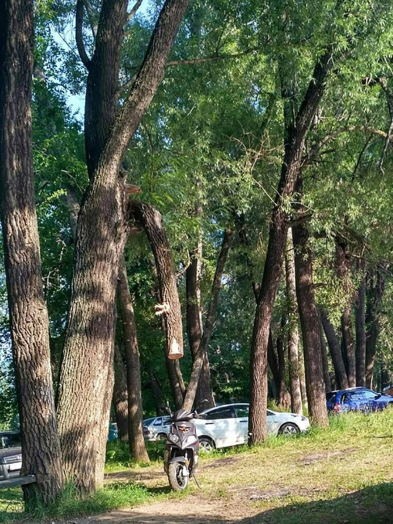 Gewoon een verzameling hilarische foto’s #847