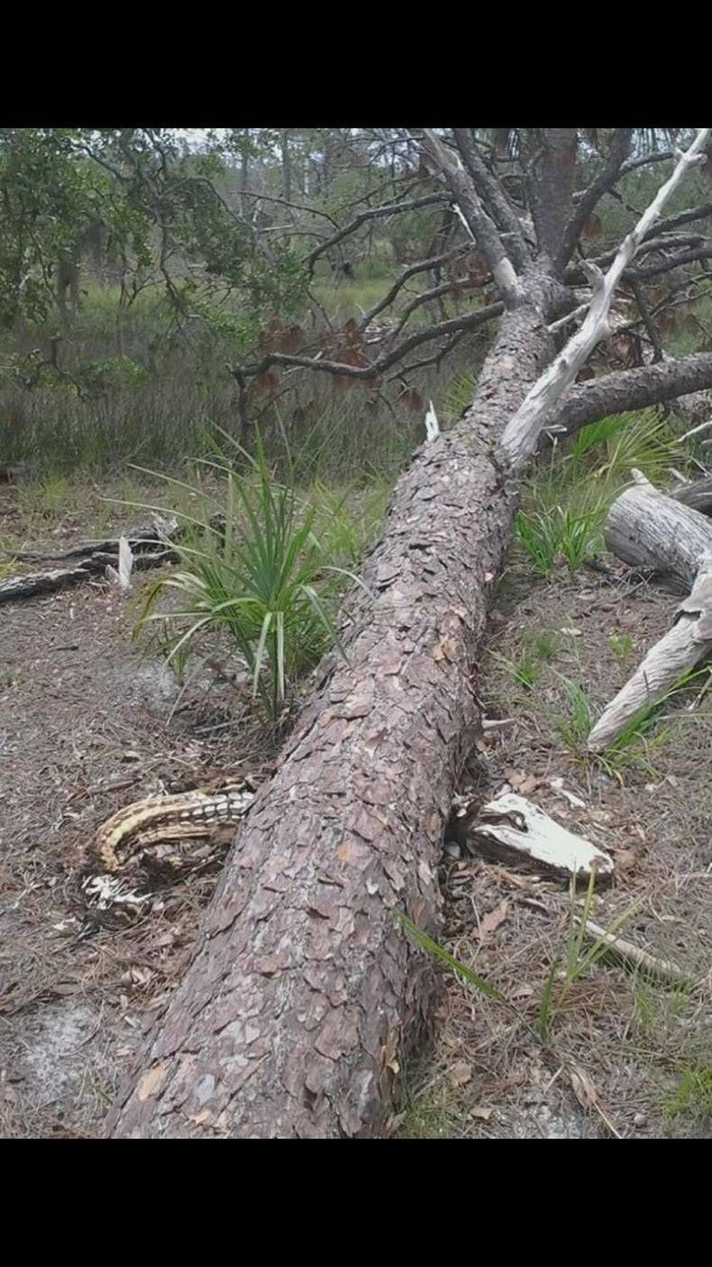 Gewoon een verzameling hilarische foto's #833