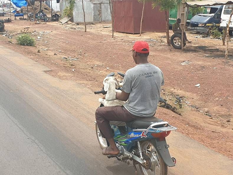 Gewoon een verzameling hilarische foto's #1130