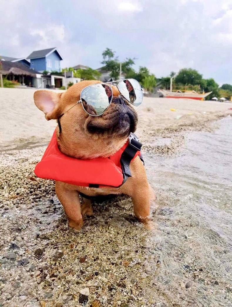 Gewoon een verzameling hilarische foto's #1120