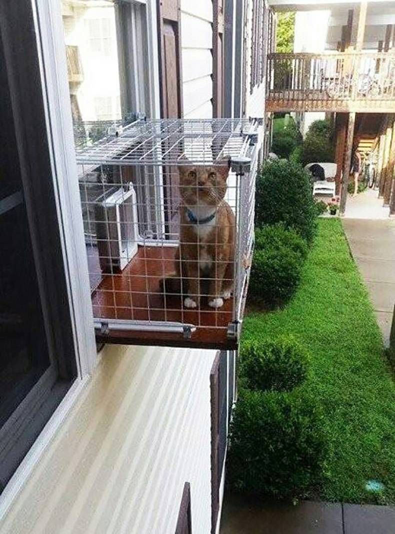 Gewoon een verzameling hilarische foto's #1096