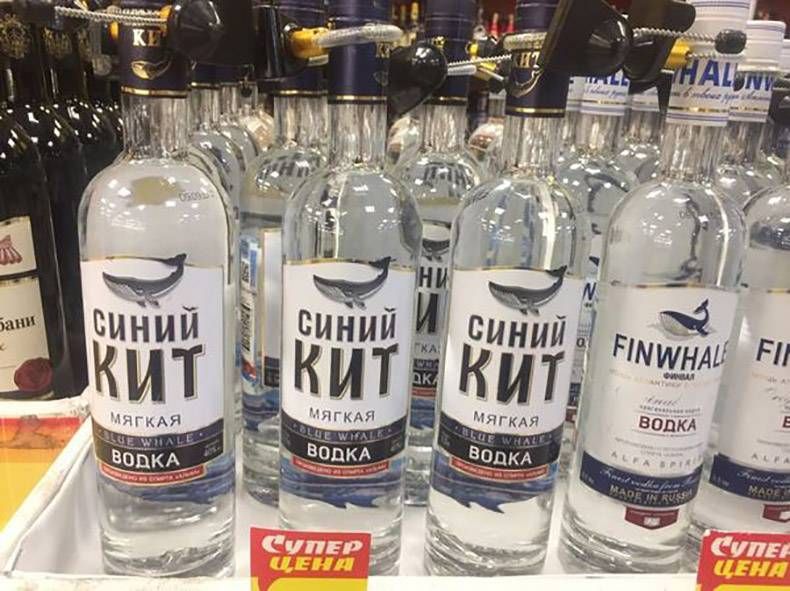 Gewoon een verzameling hilarische foto's #829