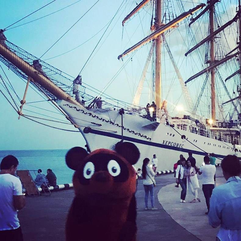 Gewoon een verzameling hilarische foto's #823