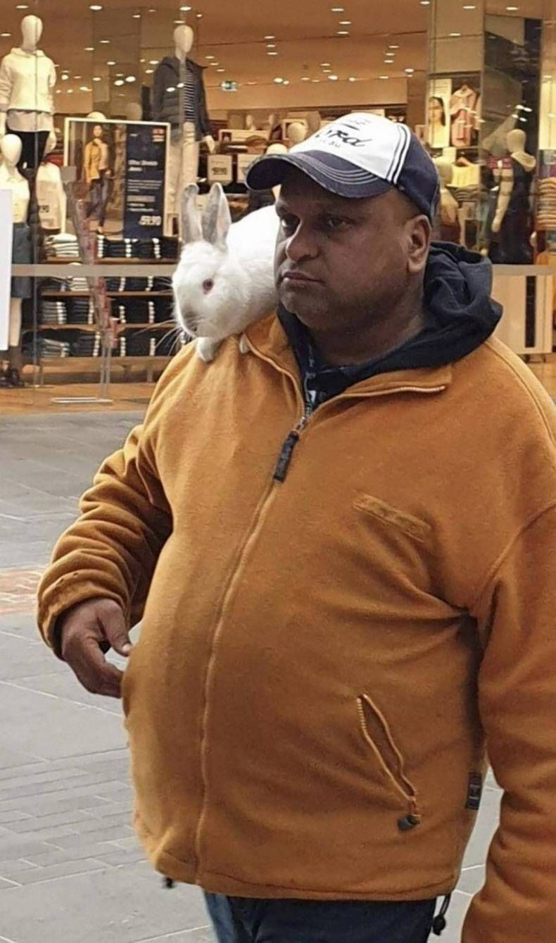 Gewoon een verzameling hilarische foto's #1257