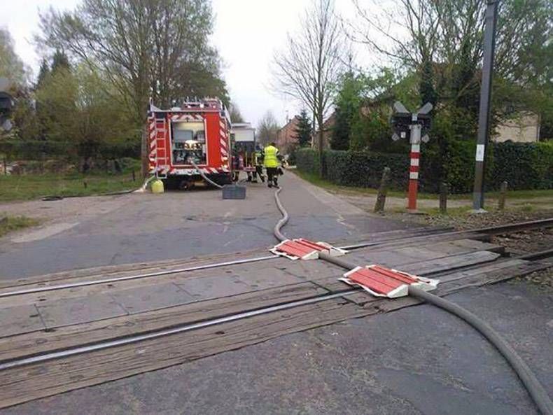 Pix Dump #1000 Special: Gewoon een verzameling straathumor foto's