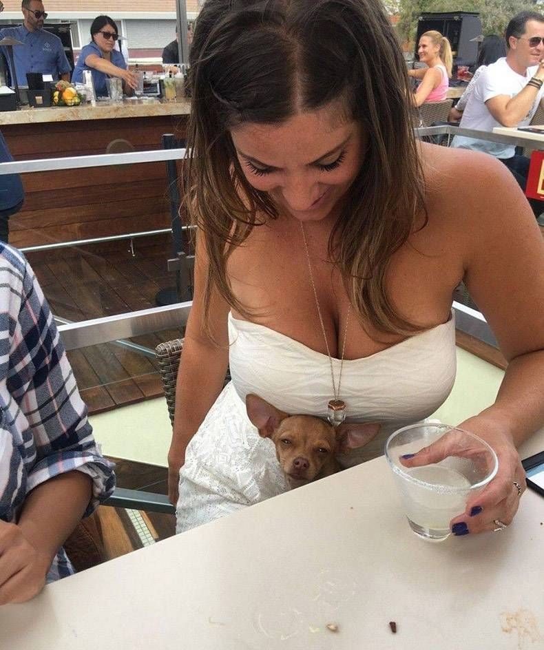 Pix Dump #1000 Special: Gewoon een verzameling foto's van dieren