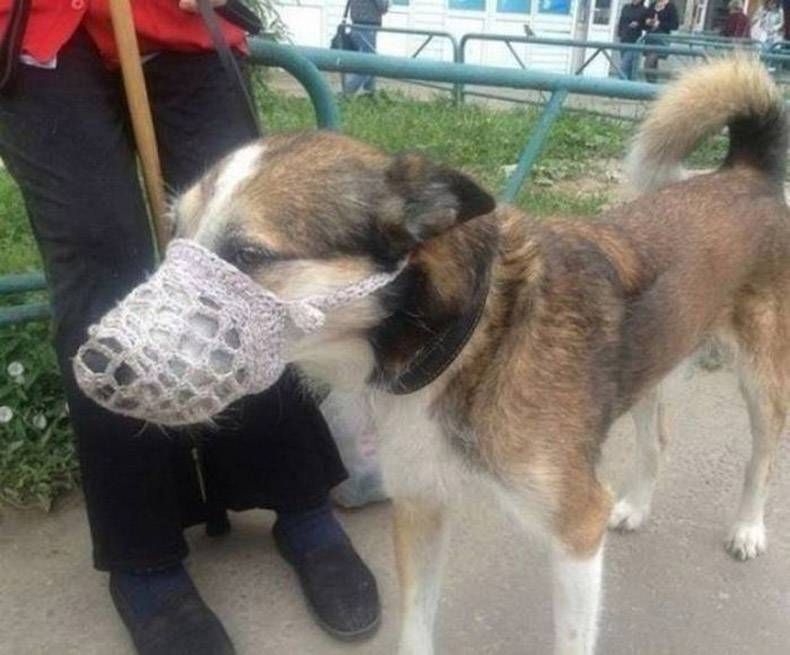 Gewoon een verzameling hilarische foto’s #847