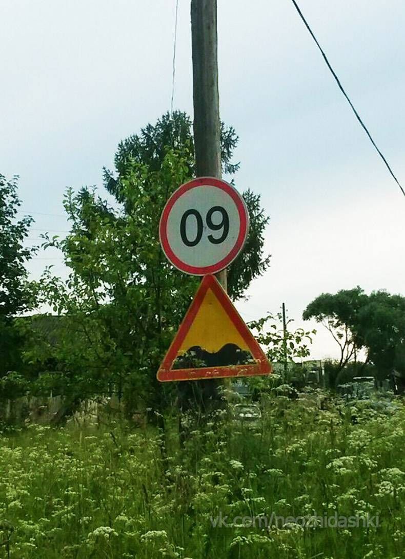 Gewoon een verzameling hilarische foto's #828