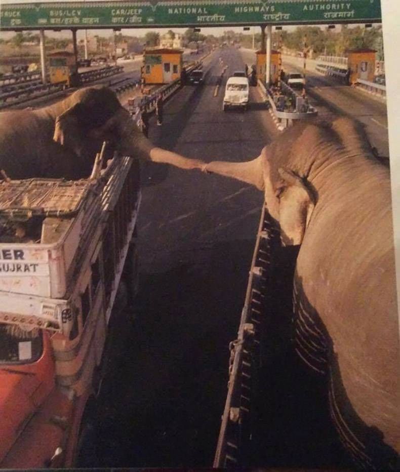 Gewoon een verzameling hilarische foto's #756