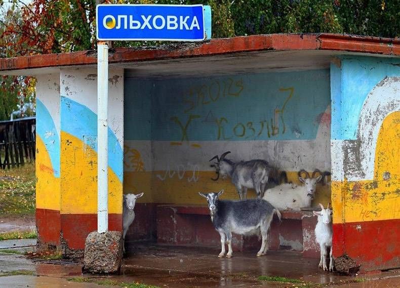 Gewoon een verzameling hilarische foto's #1179