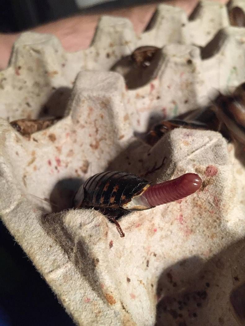 Gewoon een verzameling hilarische foto's #895