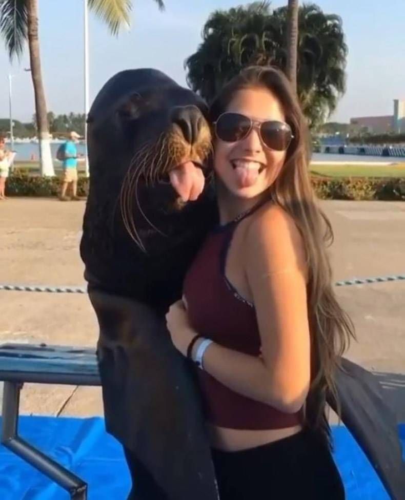 Gewoon een verzameling hilarische foto's #1294