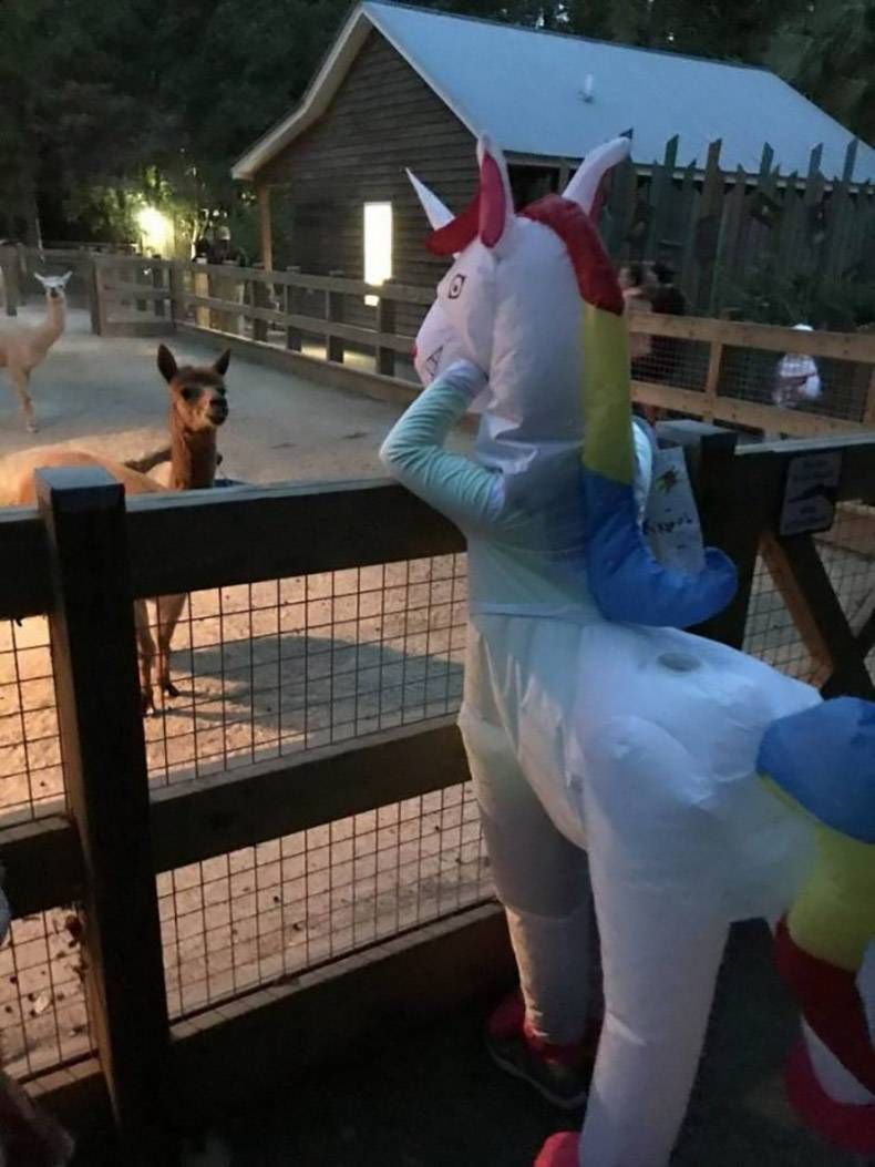 Gewoon een verzameling hilarische foto's #1216