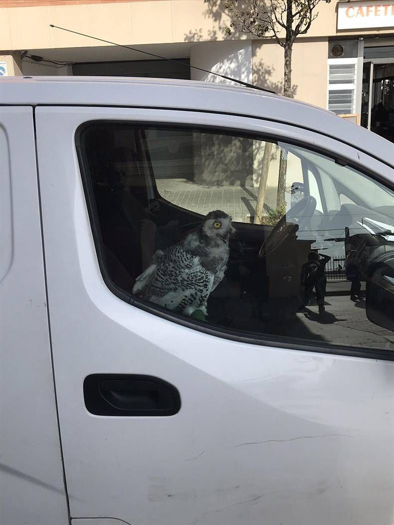 Gewoon een verzameling hilarische foto's #1205