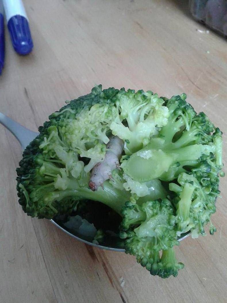 Gewoon een verzameling hilarische foto's #1037