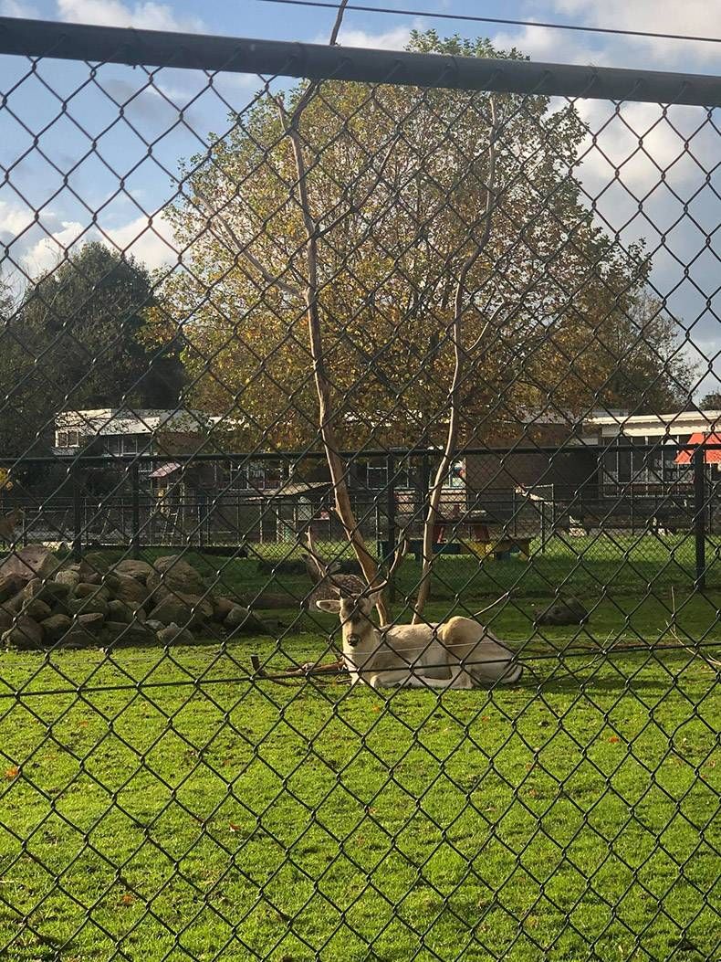 Gewoon een verzameling hilarische foto's #1359