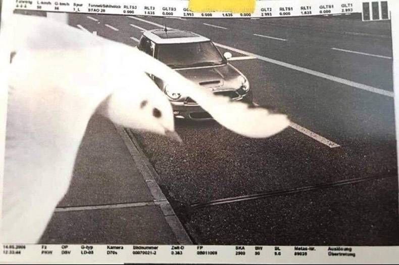 Gewoon een verzameling hilarische foto's #1024