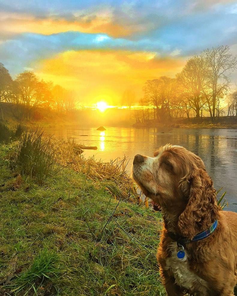 Gewoon een verzameling hilarische foto's #762