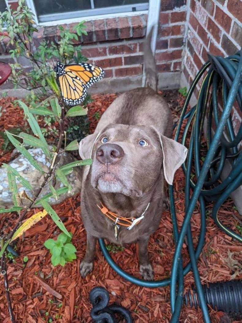 Gewoon een verzameling hilarische foto’s #1370