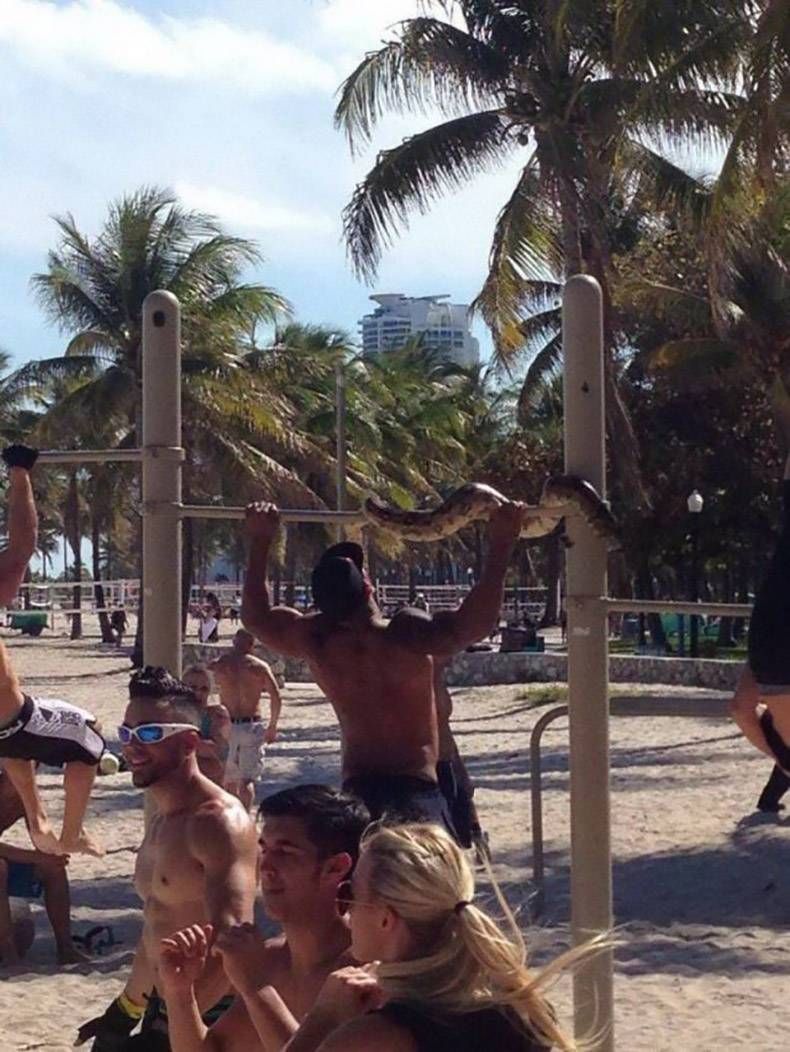 Gewoon een verzameling hilarische foto's #1240