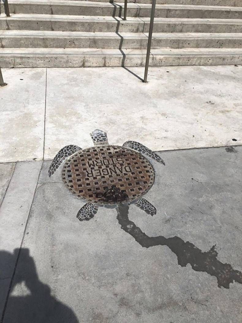 Gewoon een verzameling hilarische foto's #1173