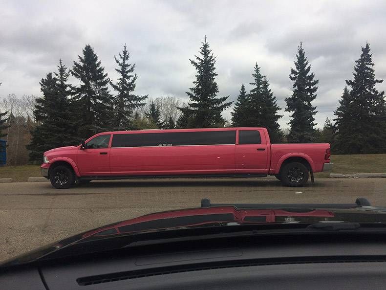 Gewoon een verzameling hilarische foto's #1077