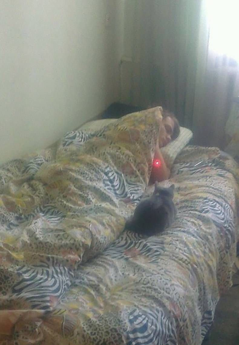 Gewoon een verzameling hilarische foto's #806