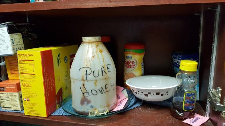 Gewoon een verzameling hilarische foto's #725