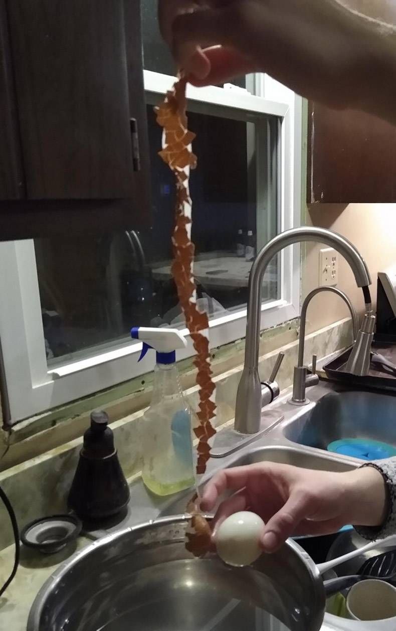 Gewoon een verzameling hilarische foto's #1256