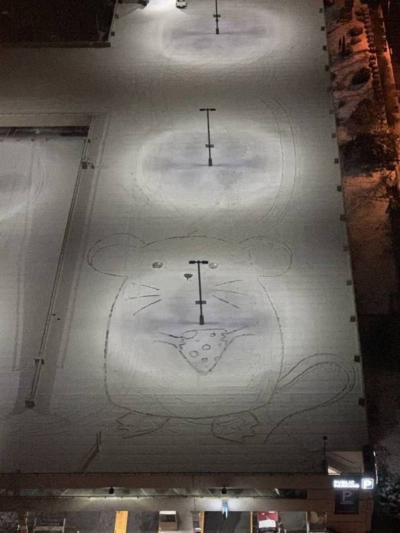 Gewoon een verzameling hilarische foto's #1244