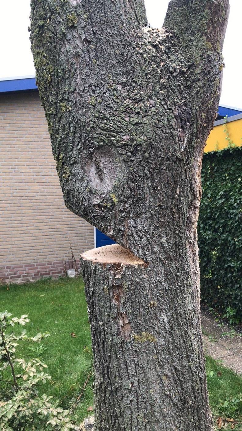 Gewoon een verzameling hilarische foto's #1179