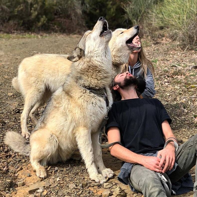 Pix Dump #1000 Special: Gewoon een verzameling foto's van dieren