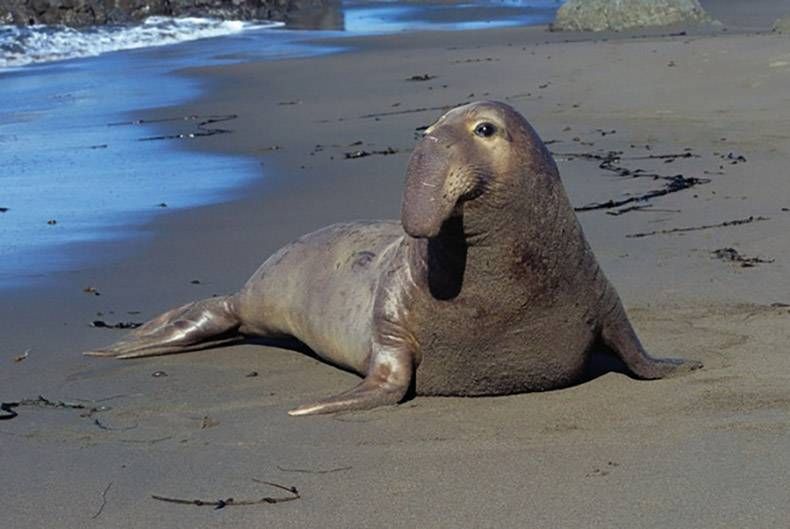 Gewoon een verzameling hilarische foto's #778