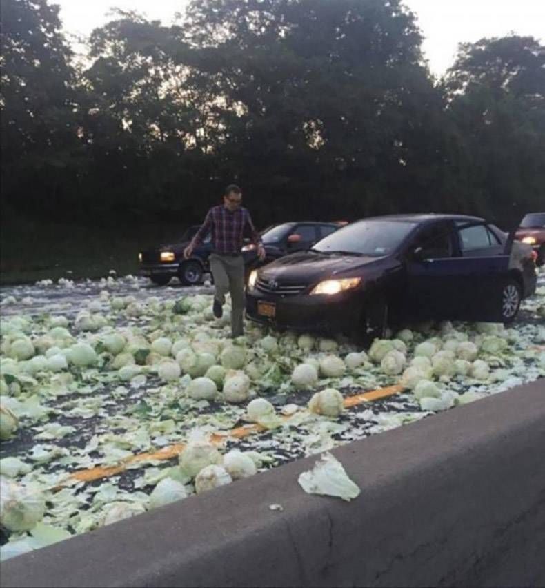 Gewoon een verzameling hilarische foto’s #1336