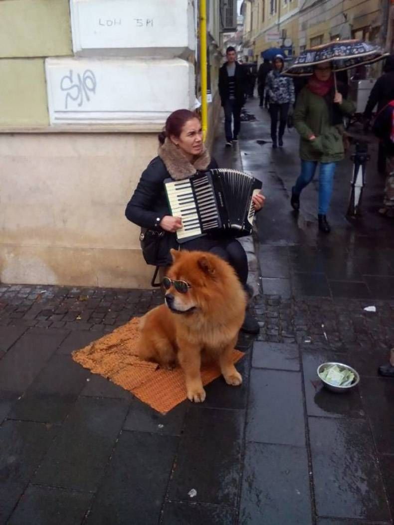 Gewoon een verzameling hilarische foto's #1252