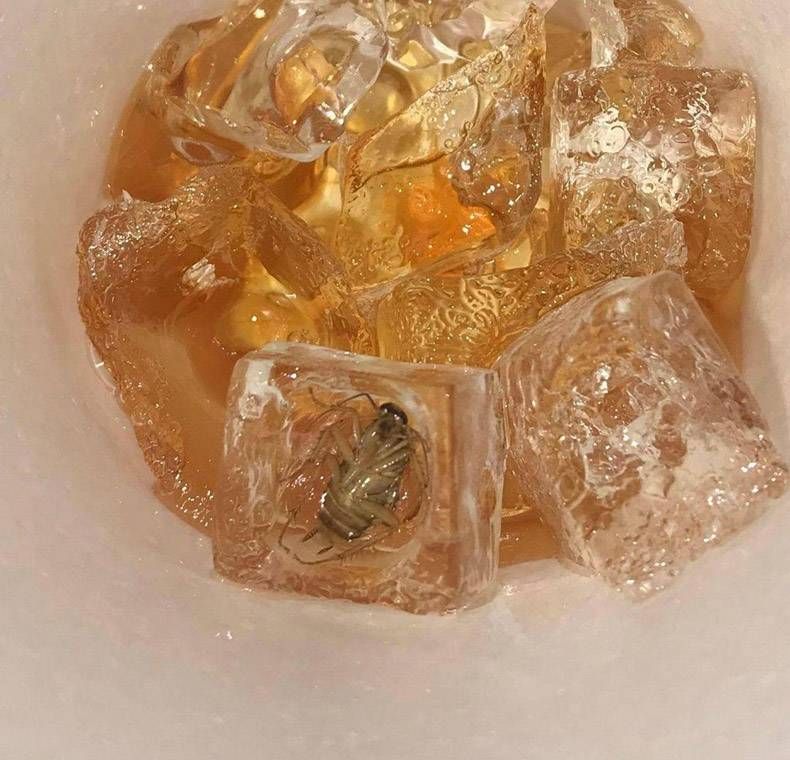 Gewoon een verzameling hilarische foto's #1244