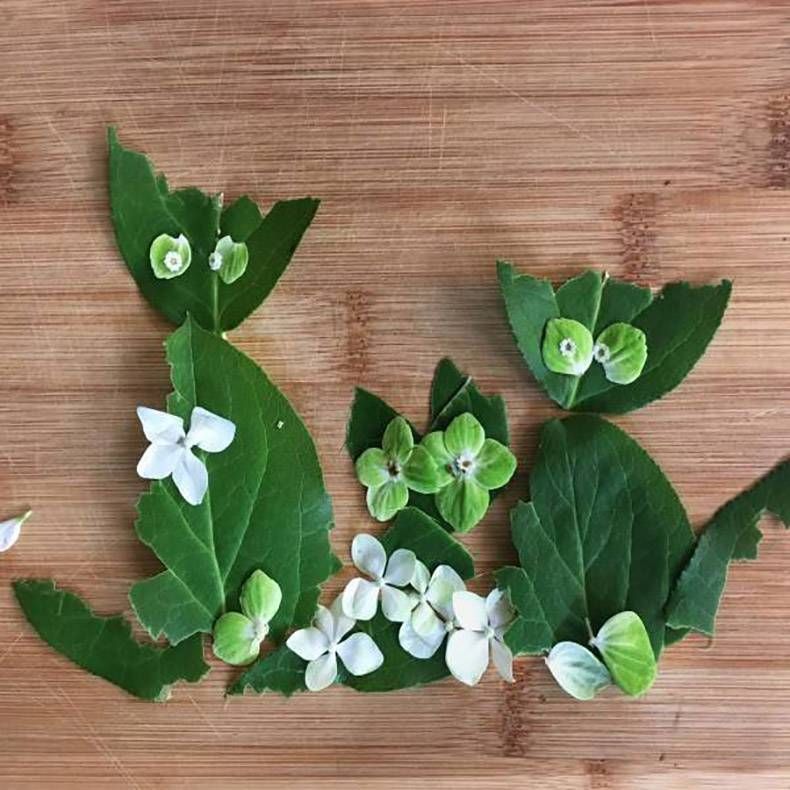 Gewoon een verzameling hilarische foto's #1190