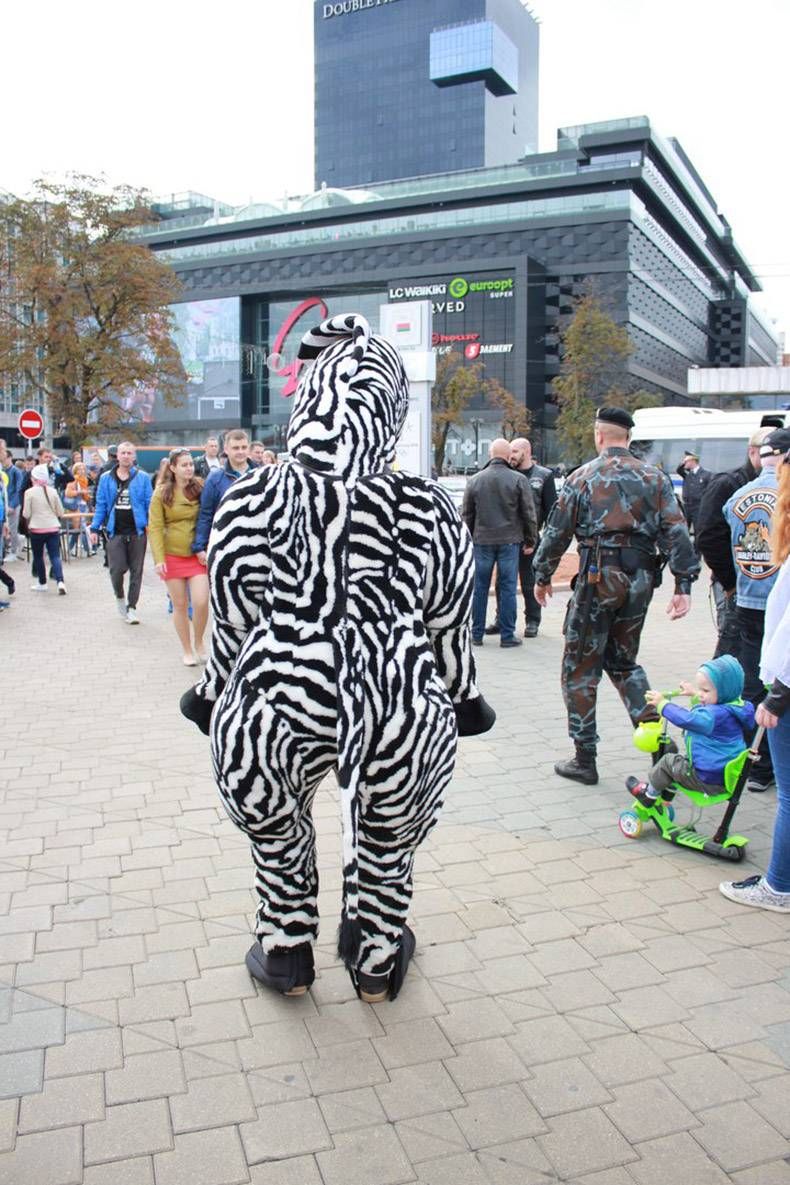 Gewoon een verzameling hilarische foto’s #921