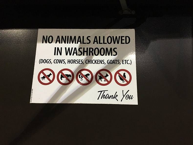 Gewoon een verzameling hilarische foto's #895