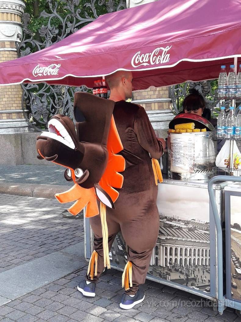 Gewoon een verzameling hilarische foto's #833