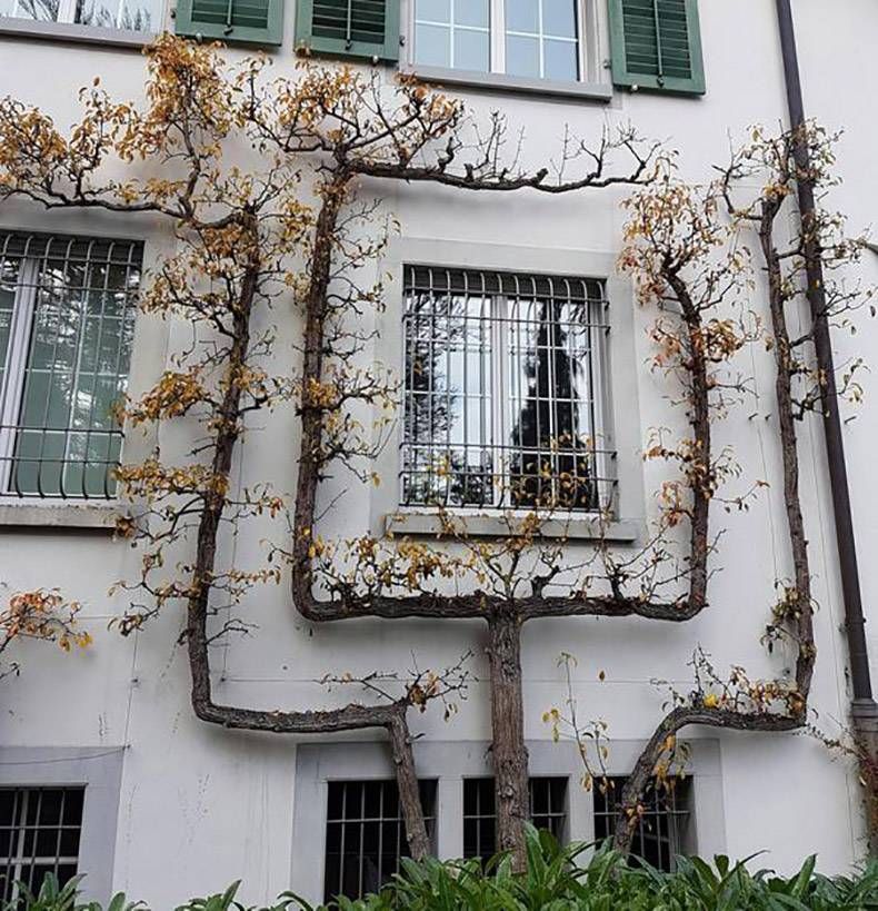 Gewoon een verzameling hilarische foto's #829