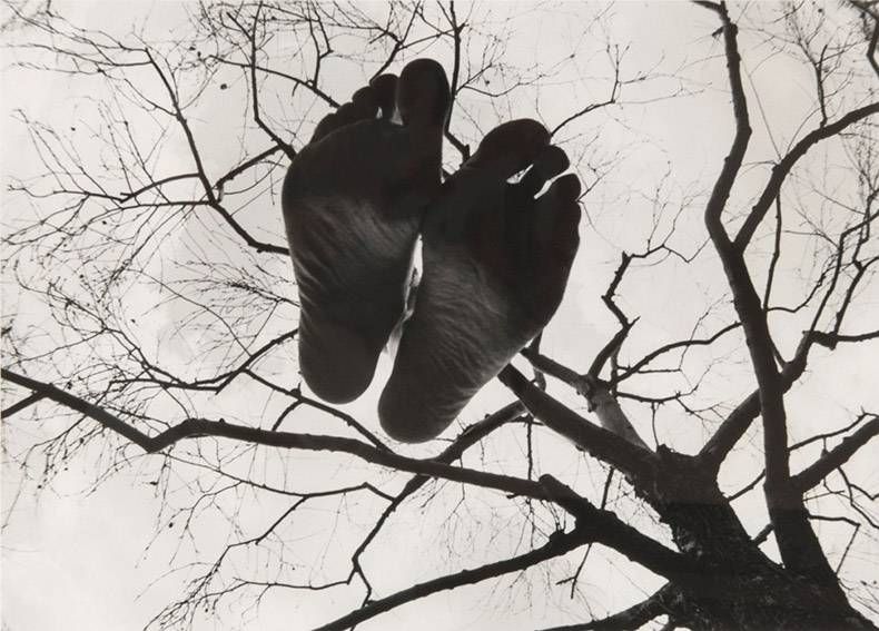 Gewoon een verzameling hilarische foto's #782