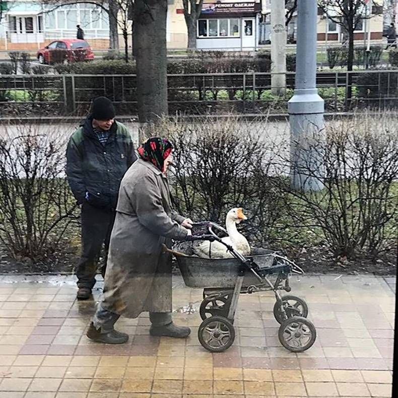 Gewoon een verzameling hilarische foto's #759