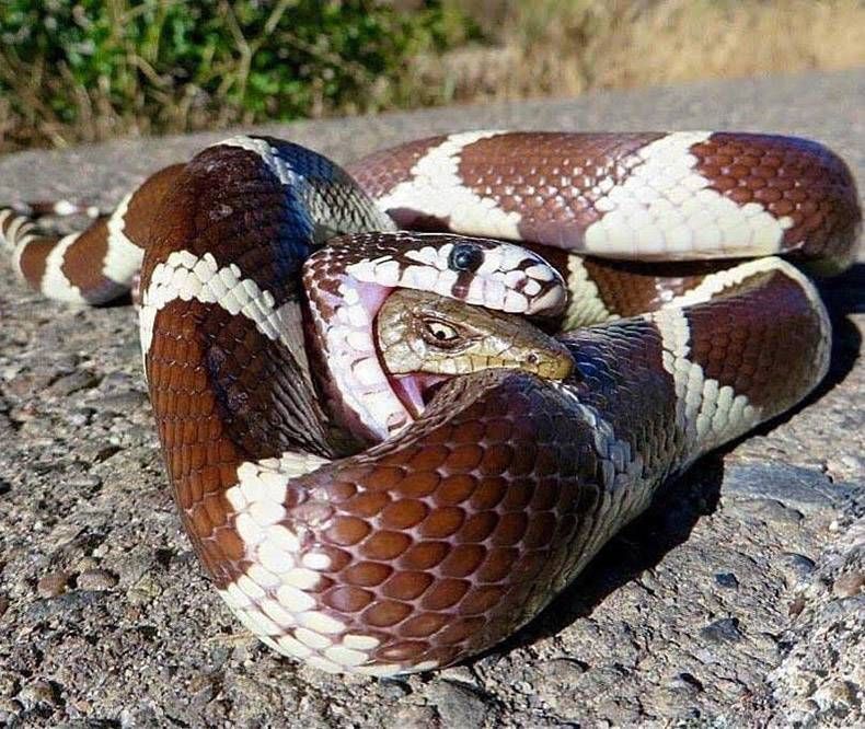 Gewoon een verzameling hilarische foto's #756