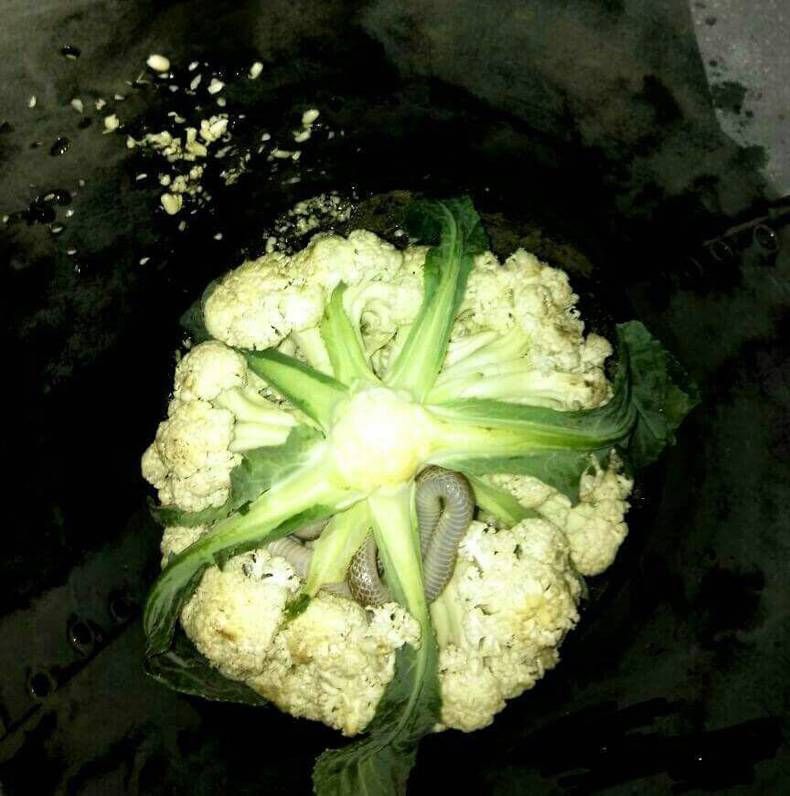 Gewoon een verzameling hilarische foto's #750