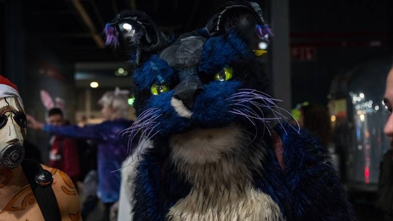 Gewoon mooie foto's van de Dutch Comic Con Winter Editie 2017