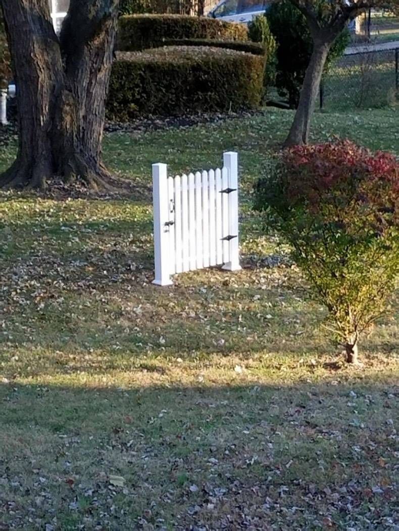 Gewoon een verzameling hilarische foto's #1256