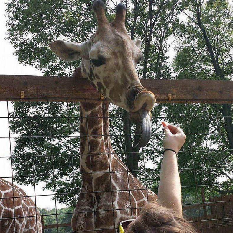 Gewoon een verzameling hilarische foto’s #978